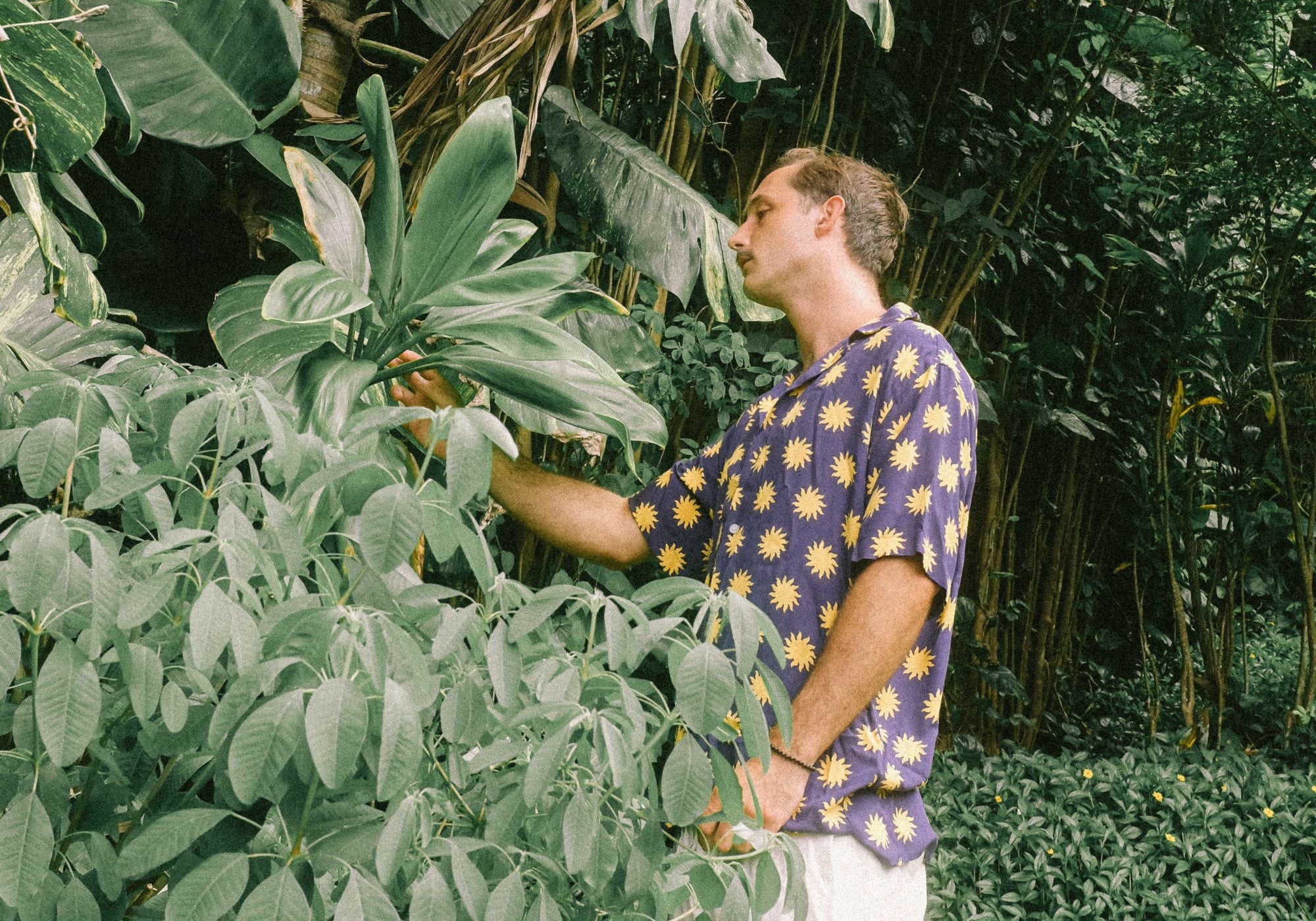 Person in tropical plants